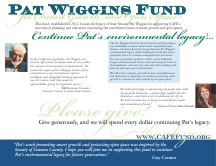 Wiggins Fund Brochure